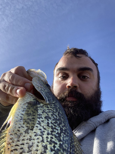 Black Crappie