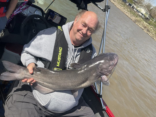 Channel Catfish