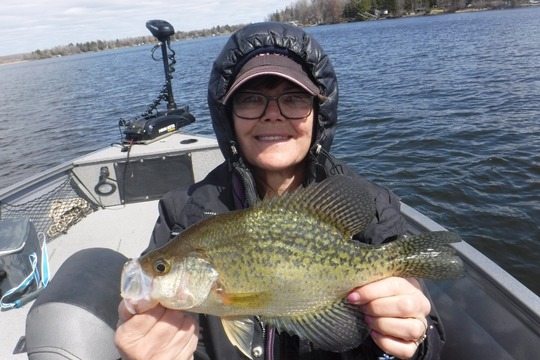 Black Crappie