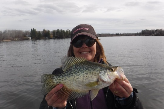 Black Crappie