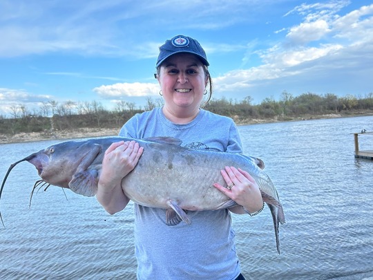 Channel Catfish