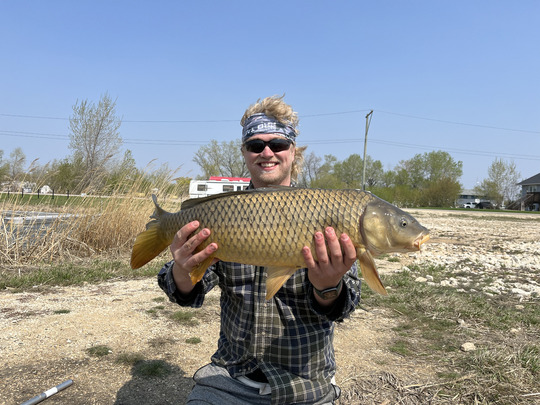Common Carp