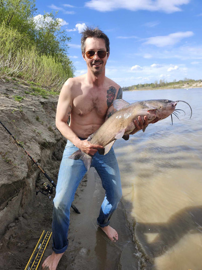 Channel Catfish