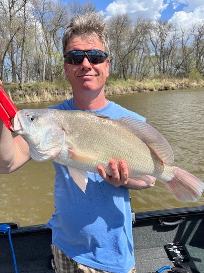 Freshwater Drum