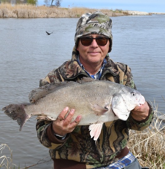 Freshwater Drum