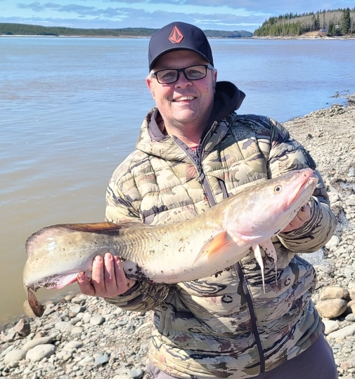 Burbot