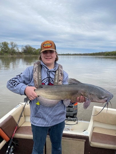 Channel Catfish