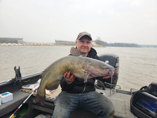 Channel Catfish