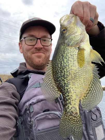Black Crappie