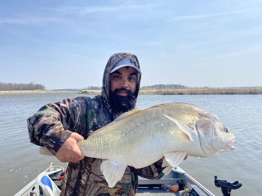 Freshwater Drum