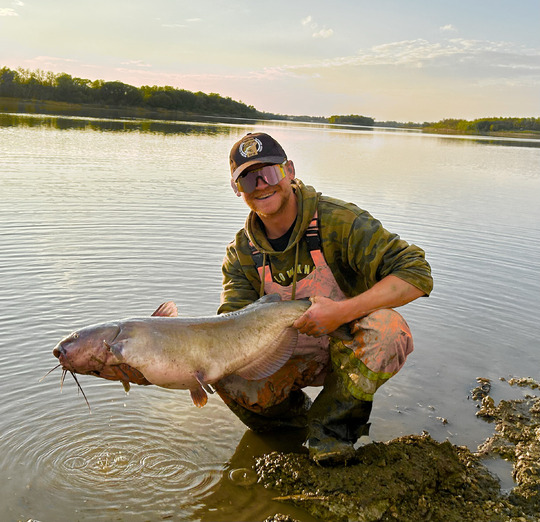 Channel Catfish