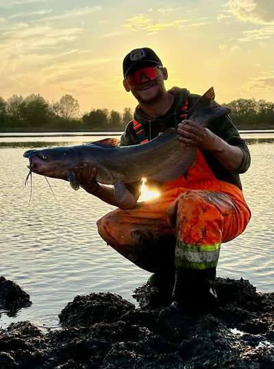 Channel Catfish