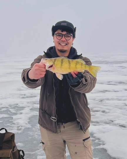 Yellow Perch