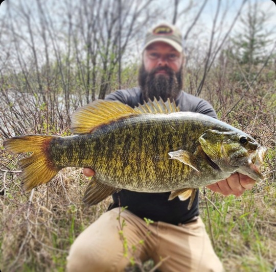 Smallmouth Bass