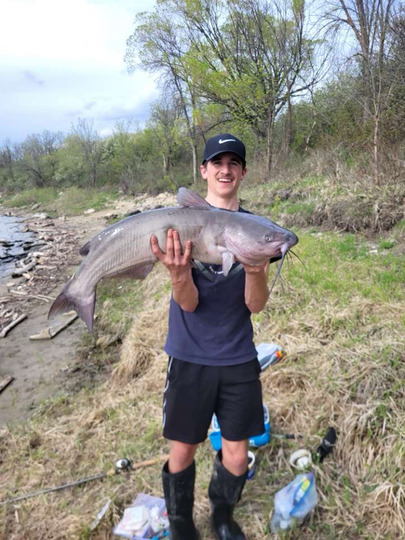 Channel Catfish