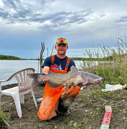 Channel Catfish