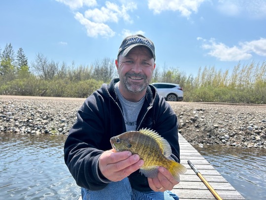 Sunfish