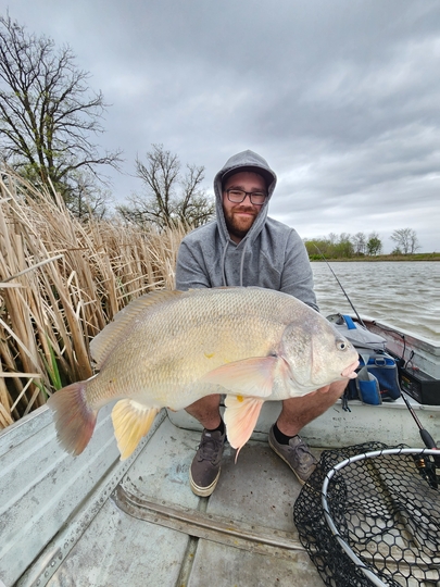 Freshwater Drum