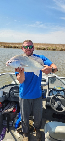 Freshwater Drum