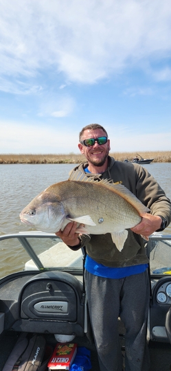 Freshwater Drum