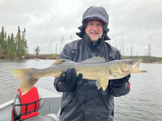 Walleye