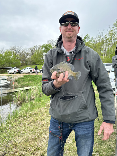 Sunfish