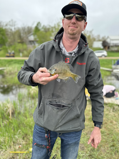 Sunfish