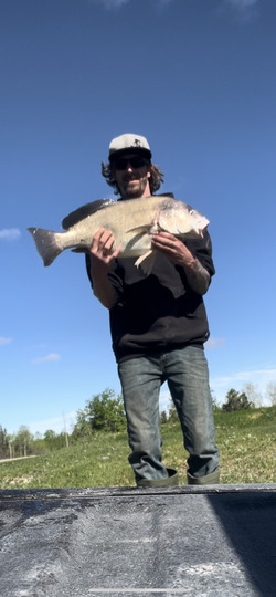 Freshwater Drum