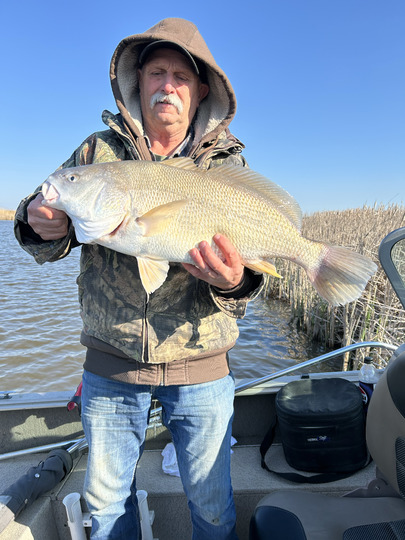 Freshwater Drum