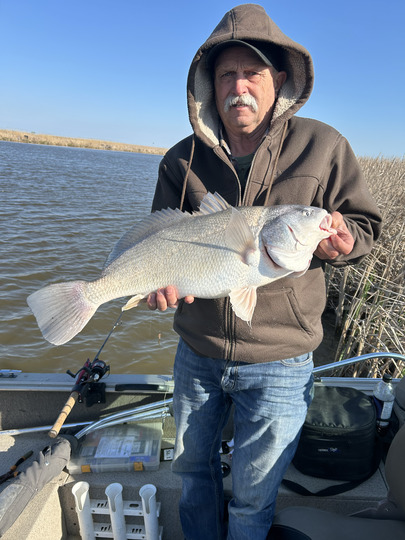 Freshwater Drum