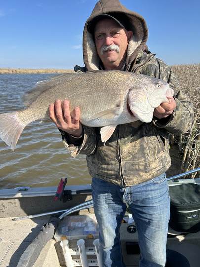 Freshwater Drum