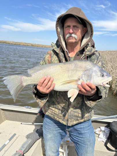 Freshwater Drum