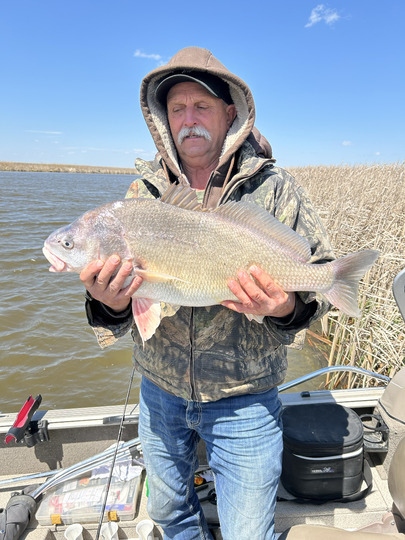 Freshwater Drum