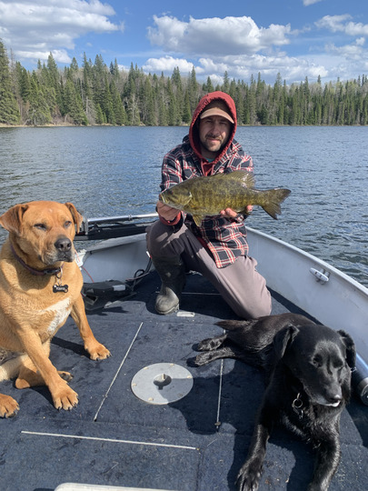Smallmouth Bass