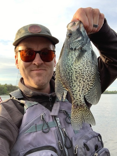 Black Crappie