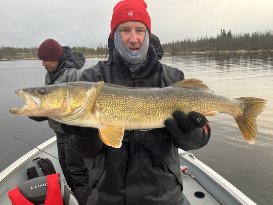 Walleye