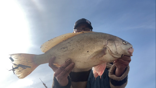 Freshwater Drum