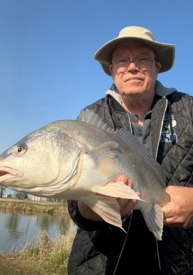 Freshwater Drum