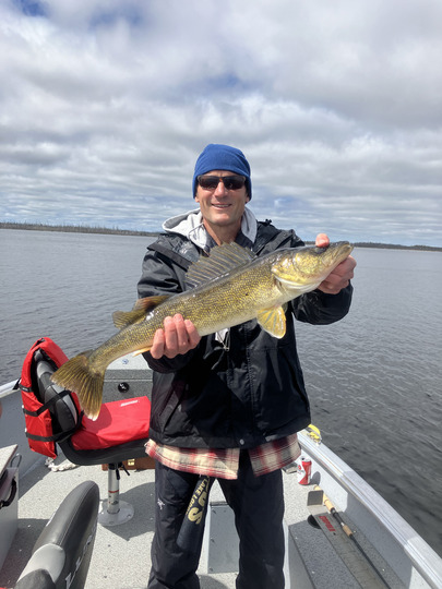 Walleye