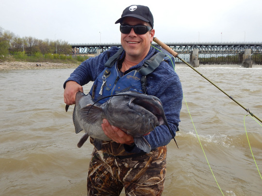 Channel Catfish