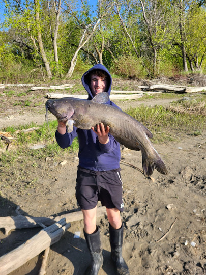 Channel Catfish