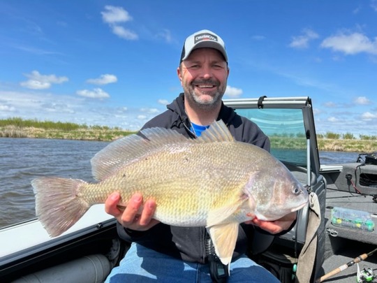 Freshwater Drum