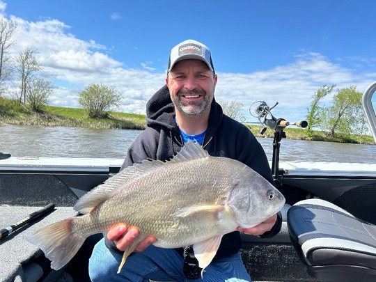 Freshwater Drum