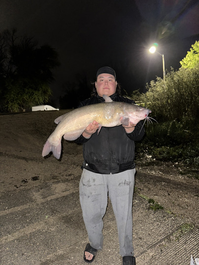 Channel Catfish