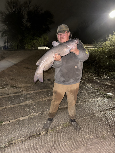 Channel Catfish