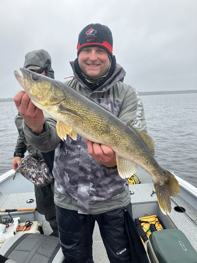 Walleye