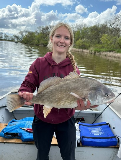 Freshwater Drum
