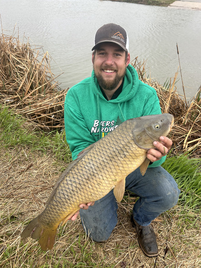 Common Carp