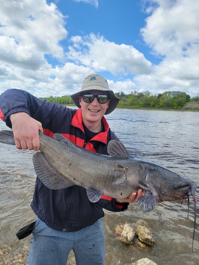 Channel Catfish