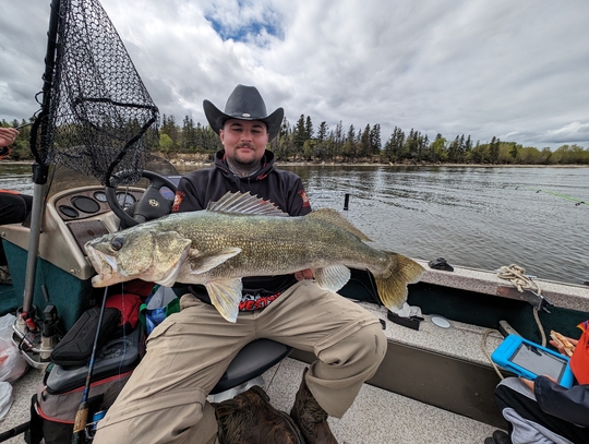 Walleye